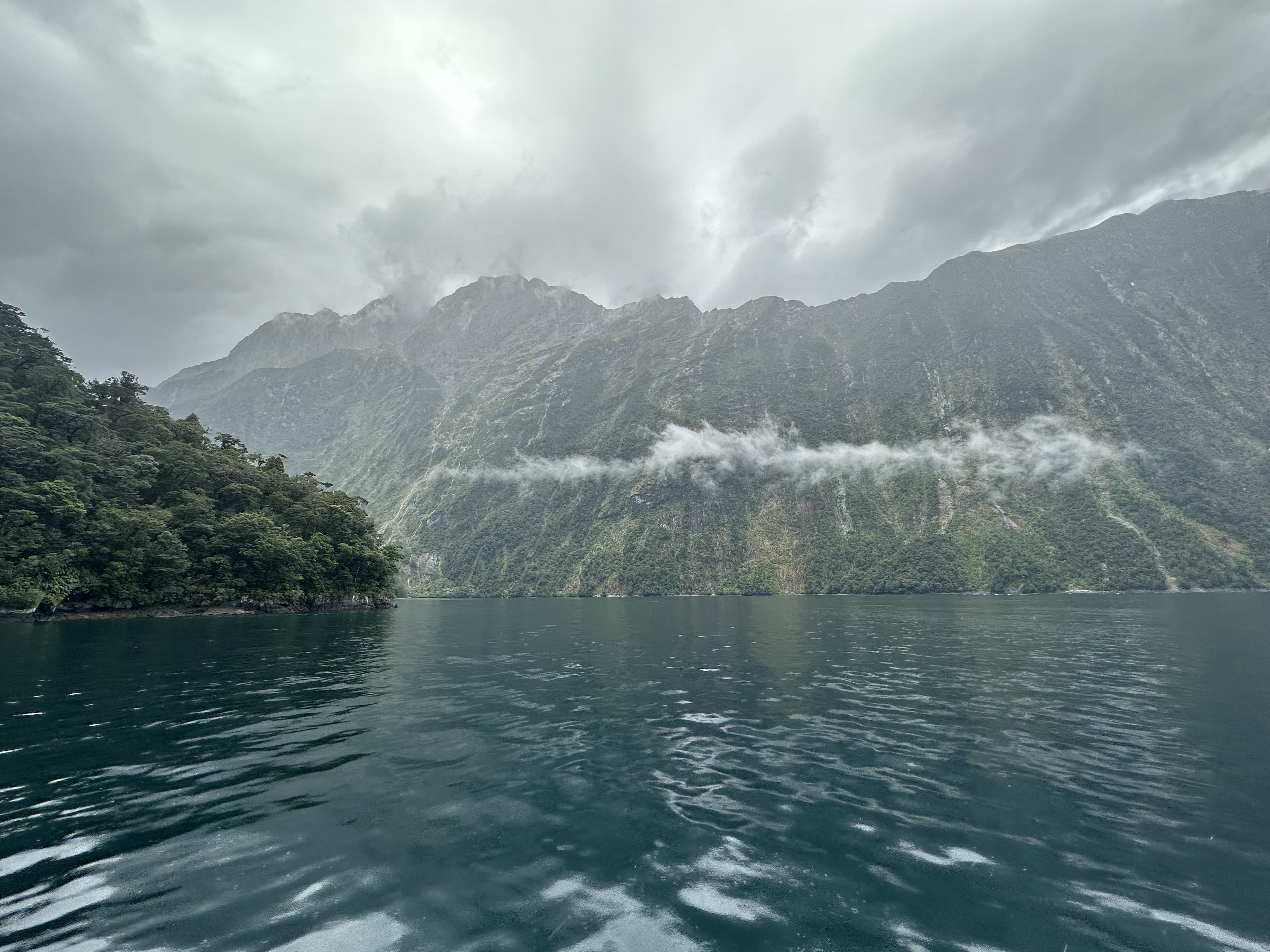 Misty fjord and forested cliffs viewed from the water