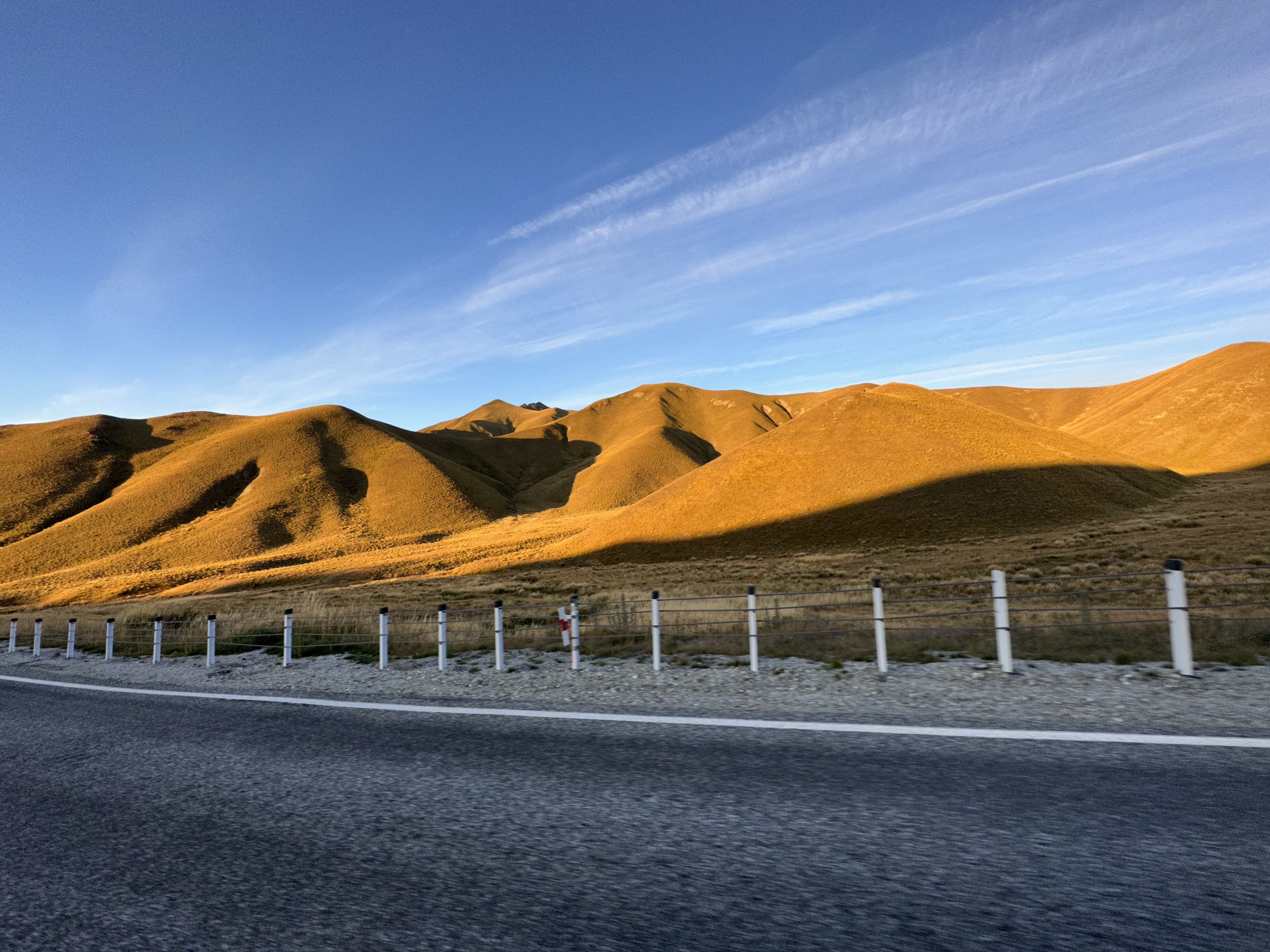 Golden tussock hills along a mountain highway at sunset