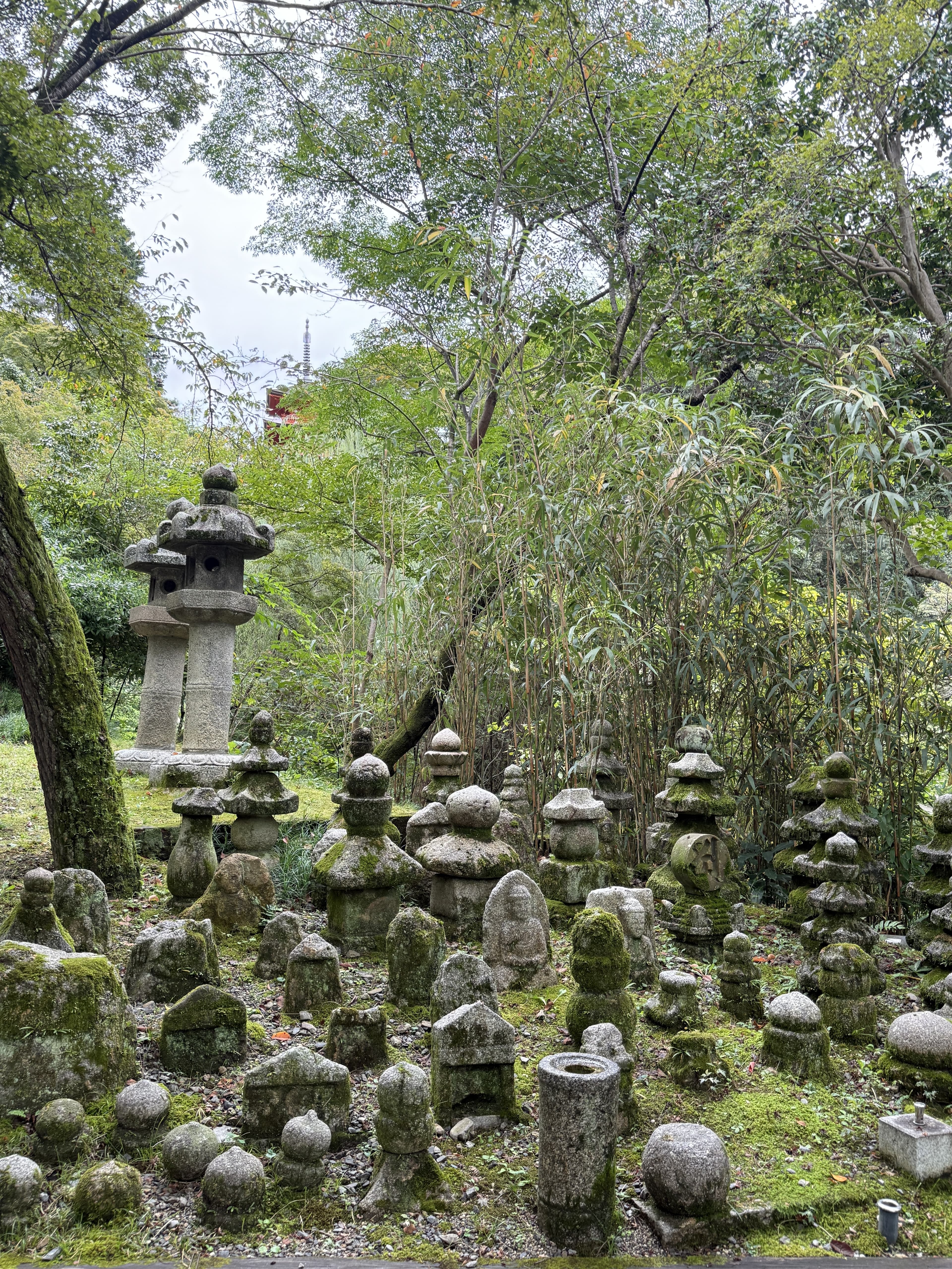 A row of moss-covered stone lanterns beneath willow trees