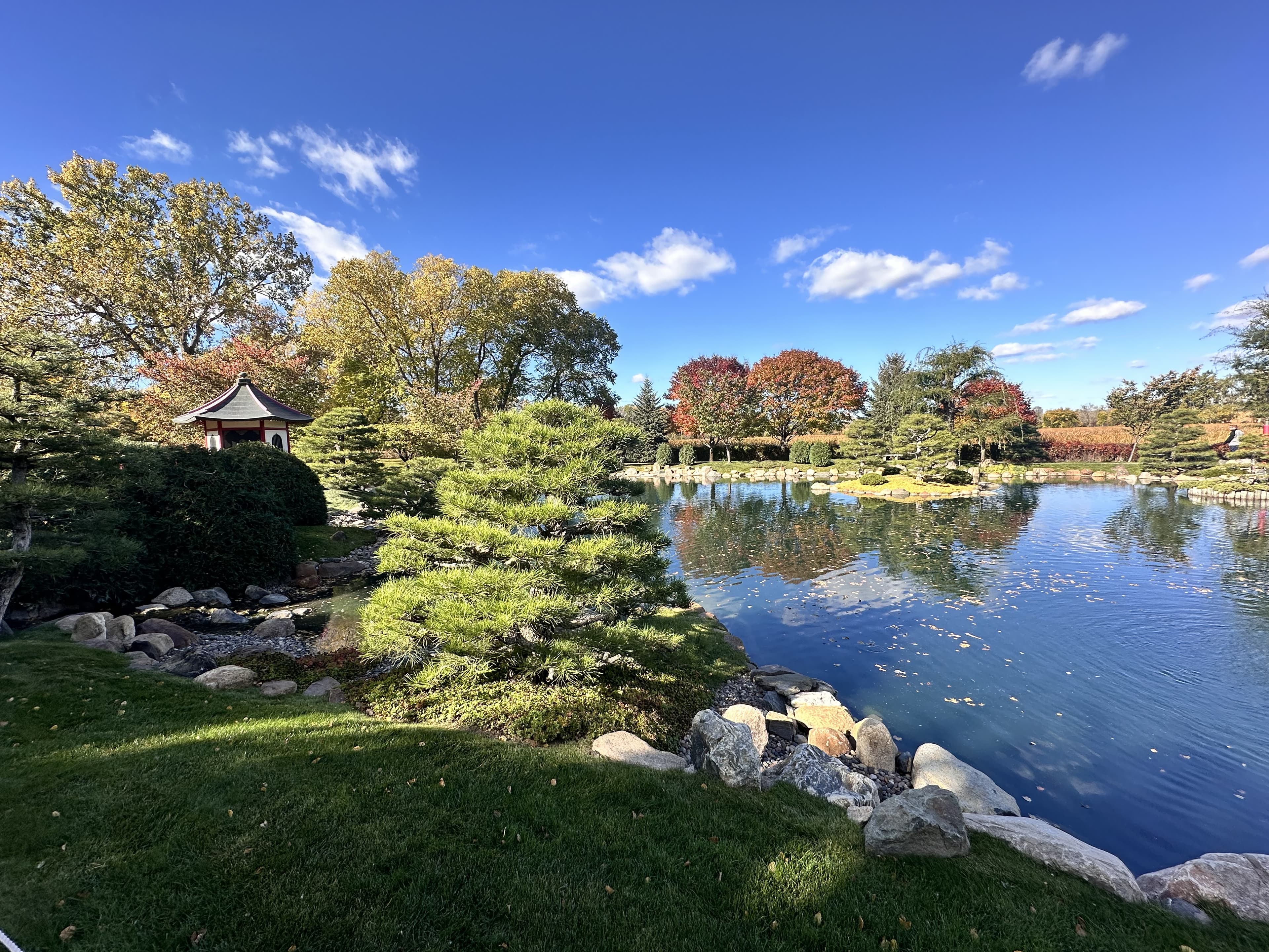 A pond reflecting a pagoda and cloud-pruned pines in autumn