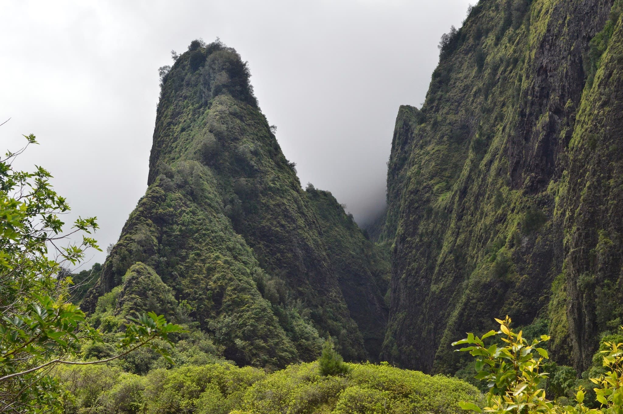 Lush valley with towering moss-covered cliffs and misty valleys