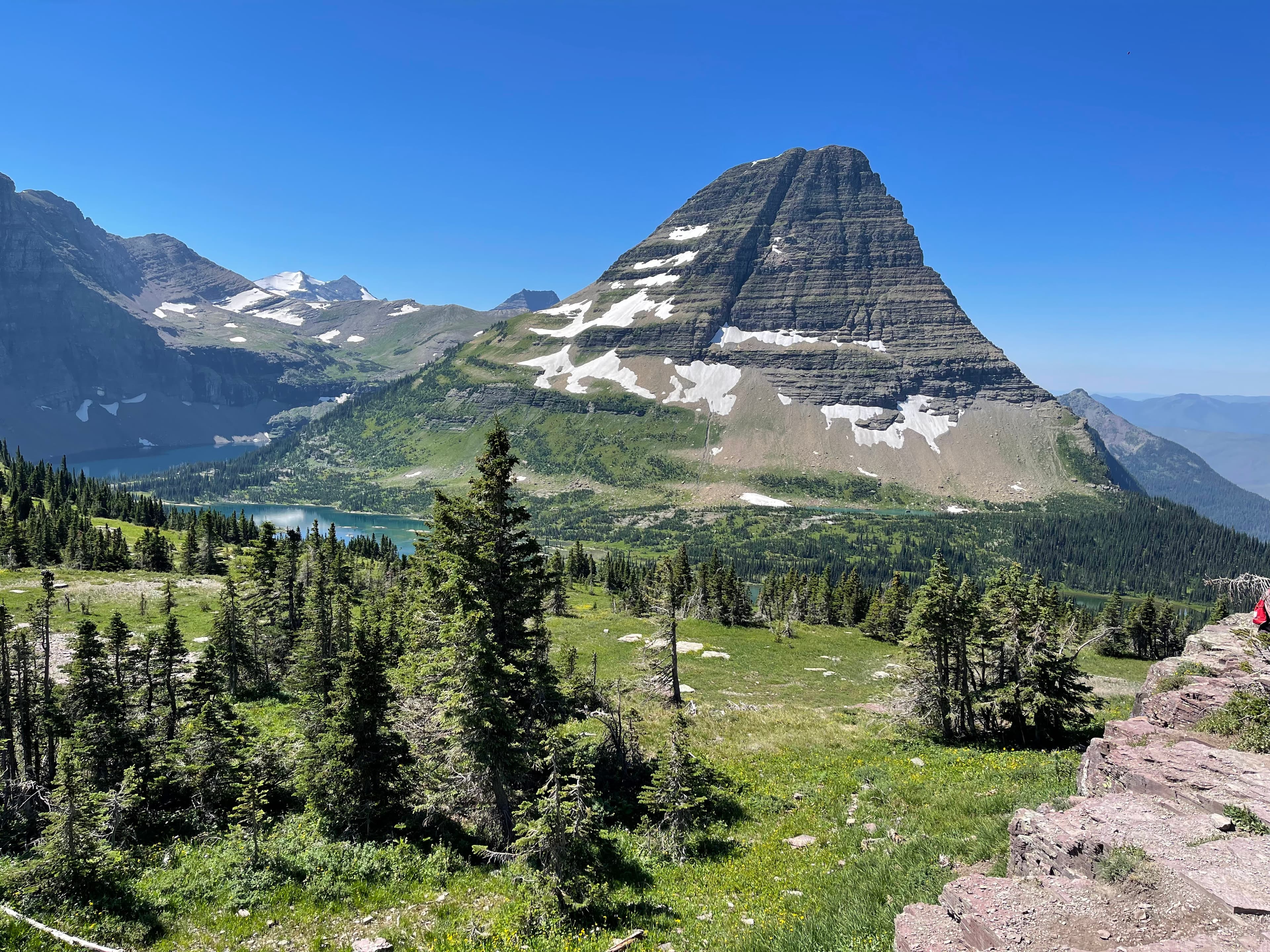 Mountain scenery with dense forest and alpine slopes